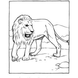 Раскраска: зоопарк (Животные) #12656 - Бесплатные раскраски для печати