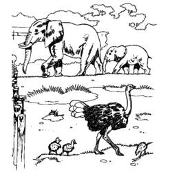 Раскраска: зоопарк (Животные) #12659 - Бесплатные раскраски для печати