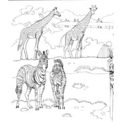 Раскраска: зоопарк (Животные) #12677 - Бесплатные раскраски для печати