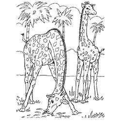 Раскраска: зоопарк (Животные) #12703 - Раскраски для печати