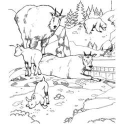 Раскраска: зоопарк (Животные) #12713 - Бесплатные раскраски для печати