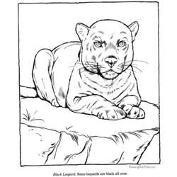 Раскраска: зоопарк (Животные) #12733 - Бесплатные раскраски для печати