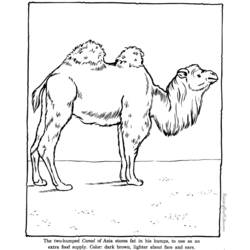 Раскраска: зоопарк (Животные) #12750 - Бесплатные раскраски для печати