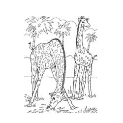 Раскраска: зоопарк (Животные) #12814 - Раскраски для печати