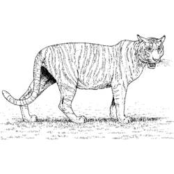 Раскраска: зоопарк (Животные) #12901 - Бесплатные раскраски для печати