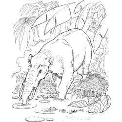 Раскраска: зоопарк (Животные) #12903 - Бесплатные раскраски для печати