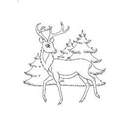 Раскраска: Bambi (Анимационные фильмы) #128542 - Бесплатные раскраски для печати