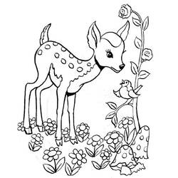 Раскраска: Bambi (Анимационные фильмы) #128657 - Бесплатные раскраски для печати