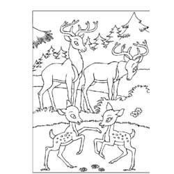 Раскраска: Bambi (Анимационные фильмы) #128730 - Бесплатные раскраски для печати