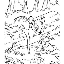 Раскраска: Bambi (Анимационные фильмы) #128782 - Раскраски для печати