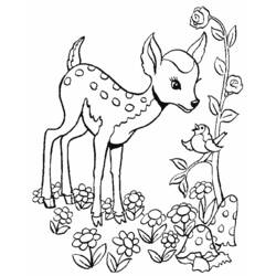 Раскраска: Bambi (Анимационные фильмы) #128789 - Бесплатные раскраски для печати