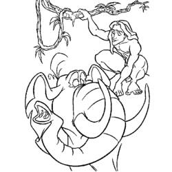 Раскраска: Тарзан (Анимационные фильмы) #131252 - Бесплатные раскраски для печати