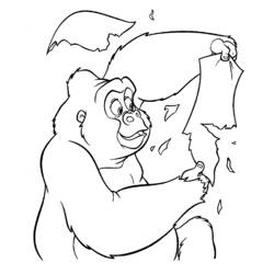 Раскраска: Тарзан (Анимационные фильмы) #131281 - Бесплатные раскраски для печати