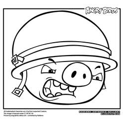Раскраска: Angry Birds (мультфильмы) #25067 - Раскраски для печати