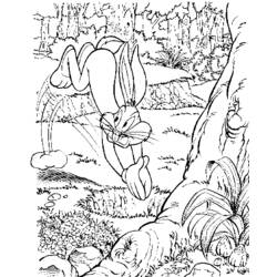Раскраска: Зайчик жучки (мультфильмы) #26345 - Бесплатные раскраски для печати