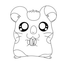 Раскраска: Hamtaro (мультфильмы) #40013 - Бесплатные раскраски для печати