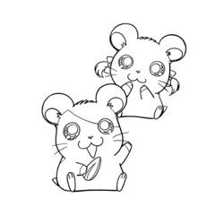 Раскраска: Hamtaro (мультфильмы) #40016 - Бесплатные раскраски для печати