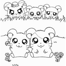 Раскраска: Hamtaro (мультфильмы) #40030 - Бесплатные раскраски для печати