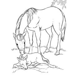 Раскраска: Horseland (мультфильмы) #53922 - Бесплатные раскраски для печати