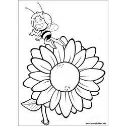 Раскраска: Майя пчела (мультфильмы) #28390 - Раскраски для печати