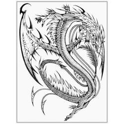 Раскраска: дракон (Персонажи) #148522 - Раскраски для печати