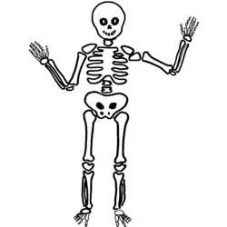 Раскраска: скелет (Персонажи) #147408 - Раскраски для печати