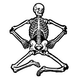 Раскраска: скелет (Персонажи) #147417 - Раскраски для печати