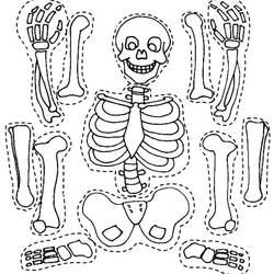 Раскраска: скелет (Персонажи) #147464 - Раскраски для печати