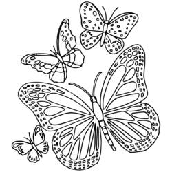 Раскраска: Бабочка Мандалы (мандалы) #117400 - Раскраски для печати