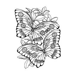 Раскраска: Бабочка Мандалы (мандалы) #117423 - Раскраски для печати