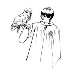 Раскраска: Гарри Поттер (кино) #69617 - Бесплатные раскраски для печати