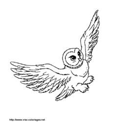 Раскраска: Гарри Поттер (кино) #69812 - Бесплатные раскраски для печати