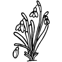 Раскраска: Букет цветов (природа) #160845 - Бесплатные раскраски для печати