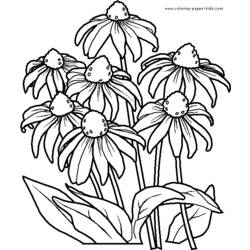 Раскраска: Букет цветов (природа) #160888 - Бесплатные раскраски для печати