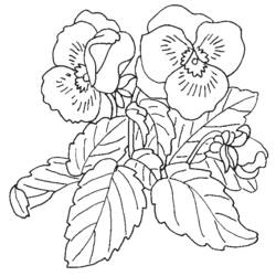 Раскраска: Букет цветов (природа) #160960 - Бесплатные раскраски для печати