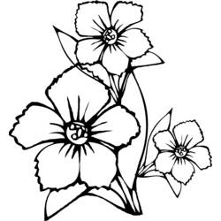 Раскраска: Букет цветов (природа) #161003 - Раскраски для печати