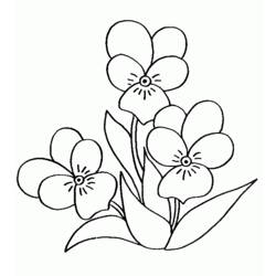 Раскраска: Букет цветов (природа) #161093 - Раскраски для печати