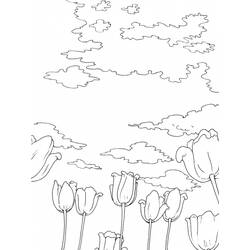 Раскраска: облако (природа) #157458 - Бесплатные раскраски для печати