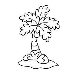 Раскраска: кокосовый (природа) #162125 - Раскраски для печати