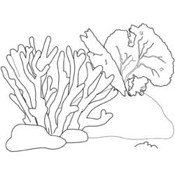 Раскраска: коралловый (природа) #162779 - Раскраски для печати