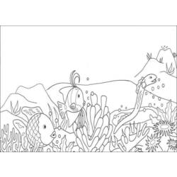 Раскраска: коралловый (природа) #162795 - Раскраски для печати