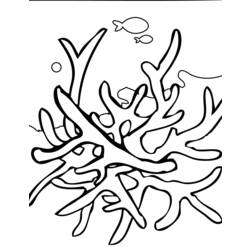 Раскраска: коралловый (природа) #162890 - Раскраски для печати