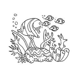 Раскраска: коралловый (природа) #162895 - Раскраски для печати