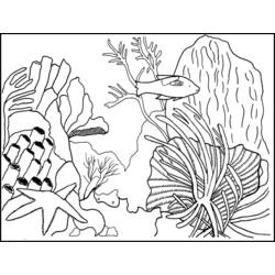 Раскраска: коралловый (природа) #162899 - Раскраски для печати