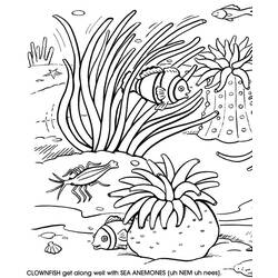 Раскраска: коралловый (природа) #162920 - Раскраски для печати