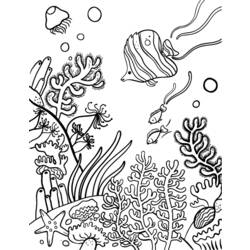 Раскраска: коралловый (природа) #162940 - Раскраски для печати
