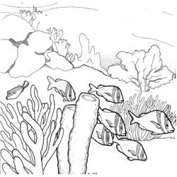 Раскраска: коралловый (природа) #162958 - Раскраски для печати