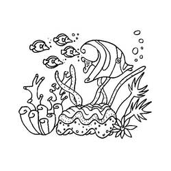 Раскраска: коралловый (природа) #162991 - Раскраски для печати