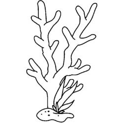 Раскраска: коралловый (природа) #162999 - Раскраски для печати