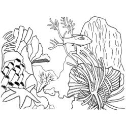 Раскраска: коралловый (природа) #163034 - Раскраски для печати